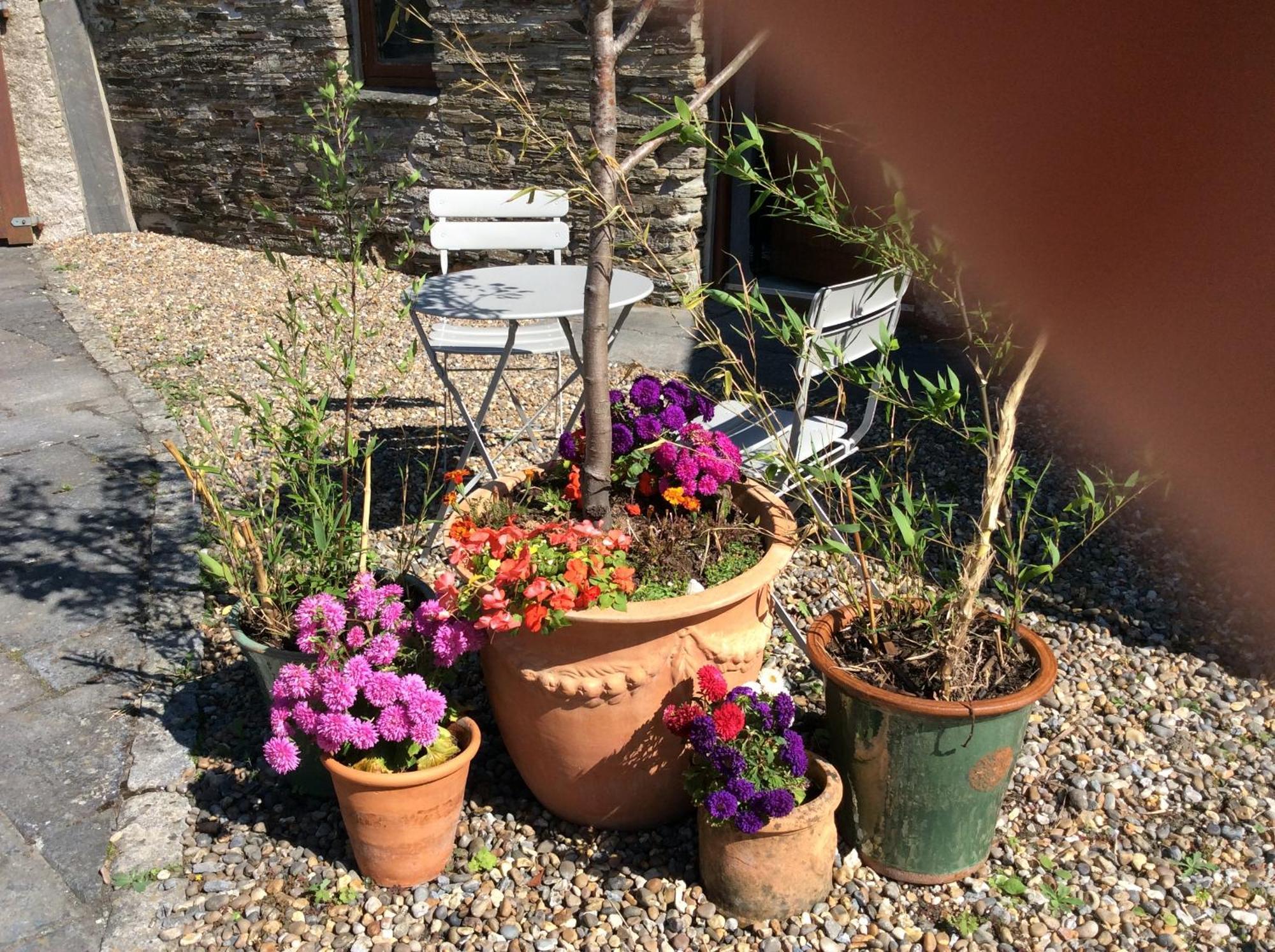 St Petroc'S Studio B&B Padstow Exterior photo